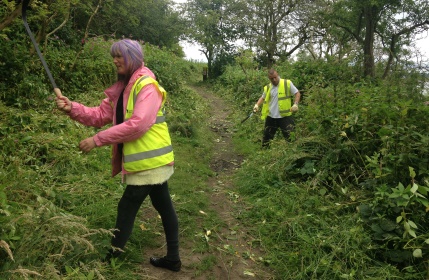 Clearing away the undergrowth around the path