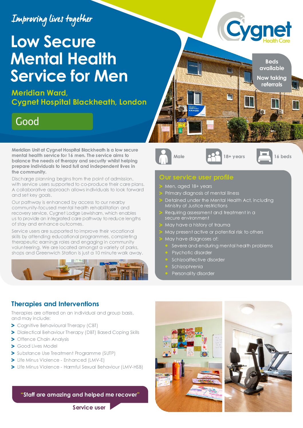 Download Meridian Ward flyer PDF