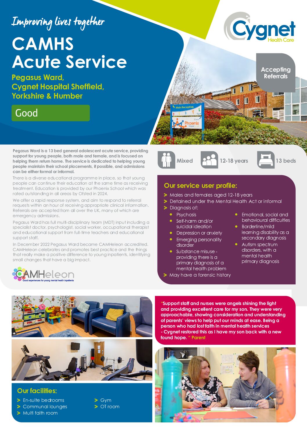 Download Pegasus Ward flyer PDF