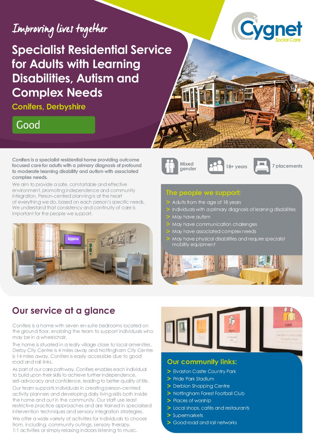 Download the Conifers flyer PDF