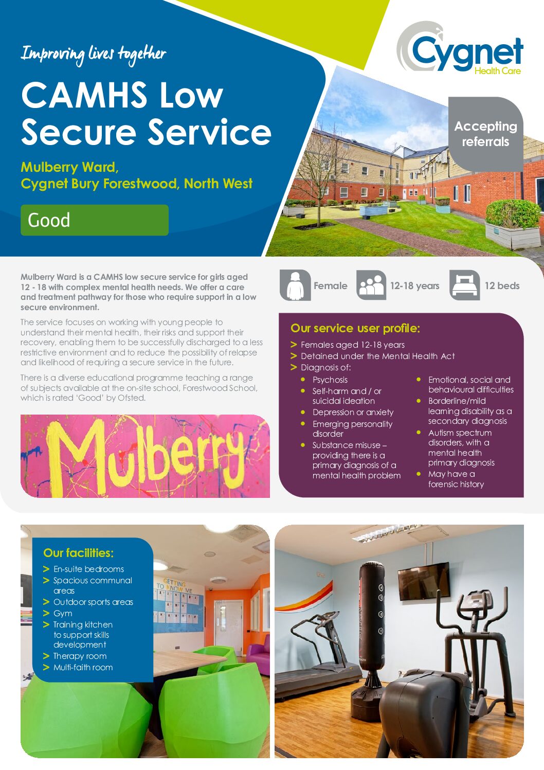 Download the Mulberry Ward Flyer PDF