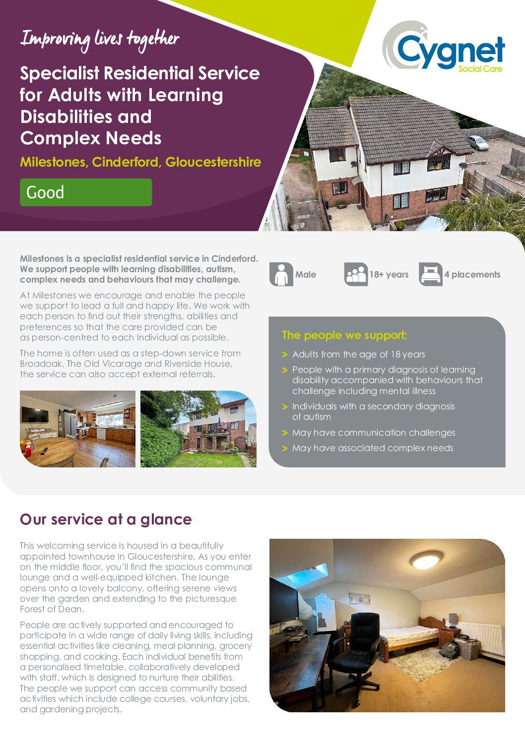 Download the Milestones flyer PDF